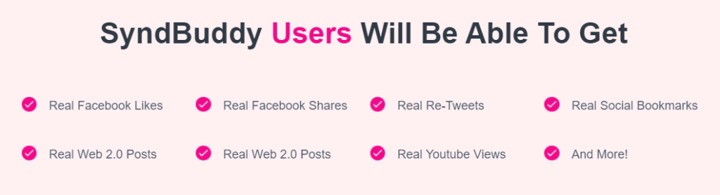 Why Should You Get SyndBuddy Right Now