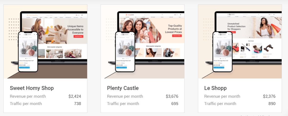 Become The Owner Of An Already Successful Dropshipping Stores