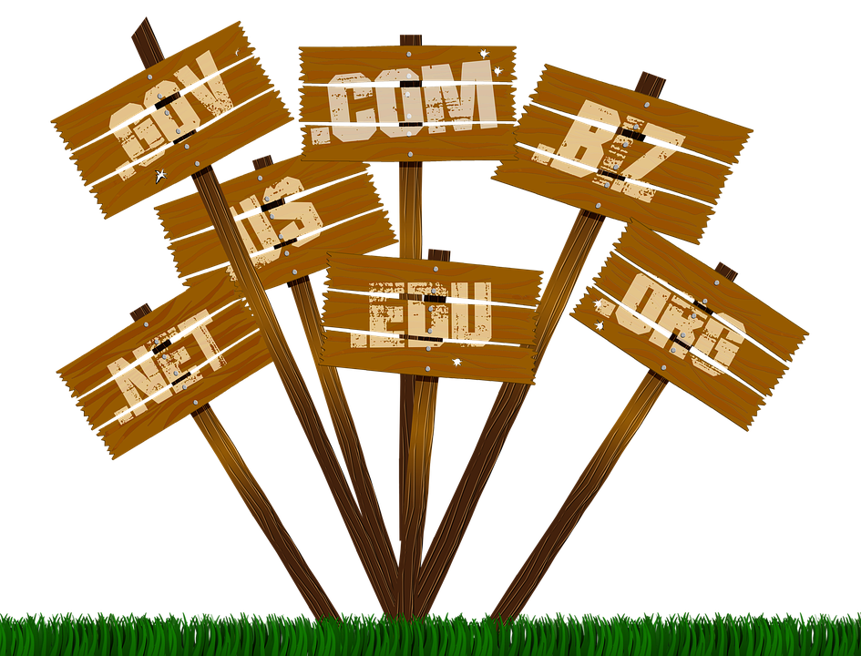 Buying and reselling domain names