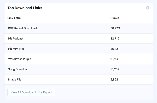 How to View File Downloads in WordPress