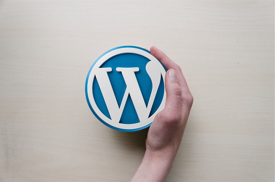 What You Need To Run An eCommerce Website With WordPress