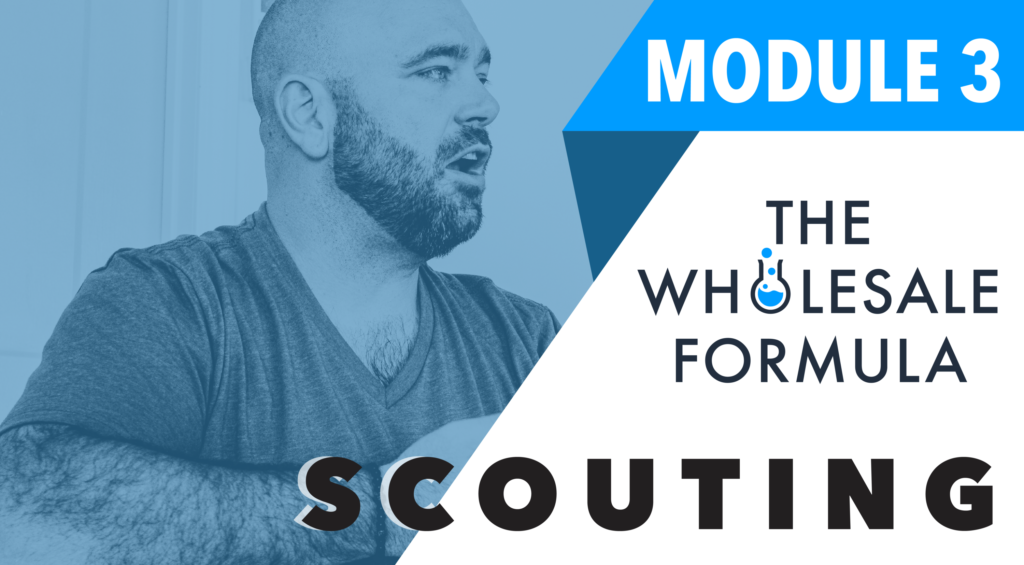 The wholesale formula Third Module -Scouting
