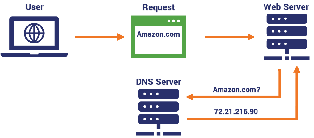 domain name system gtag.js Locally With MonsterInsights 