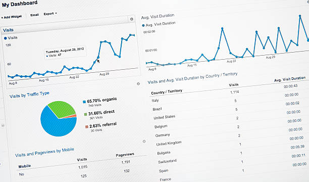 What is Website Traffic and Why is it Important?