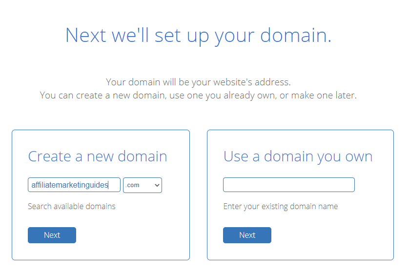 Inputting Your Choice Domain Name