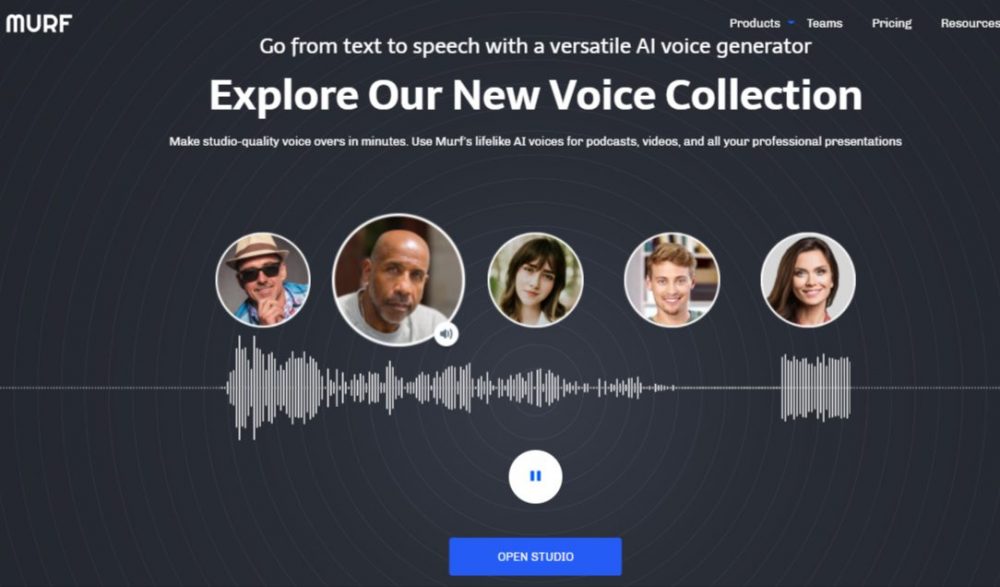 What is Murf AI Voice Software?