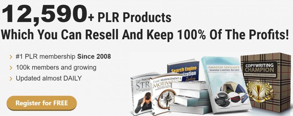 A Lead Magnet:
