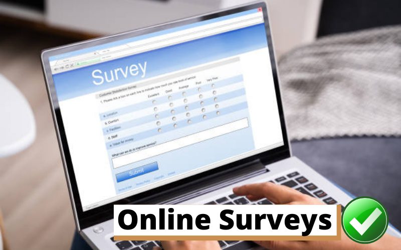 Online Surveys