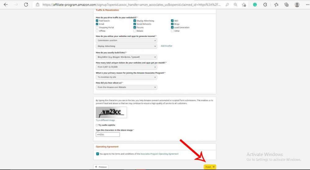 amazon associate “Traffic & Monetization” Section. 