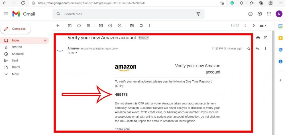 OTP that Amazon sent to email
