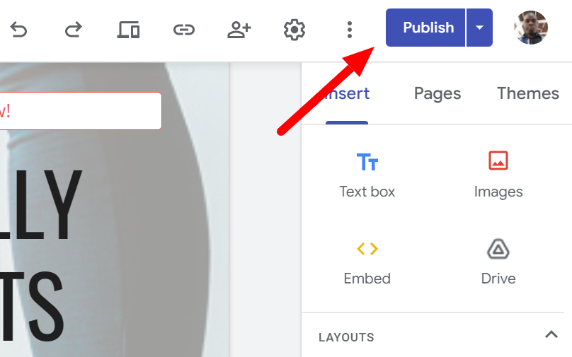 publish website 
