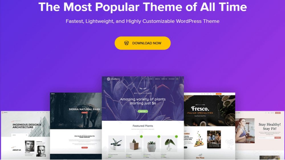 Installing and Setting up the Astra Theme