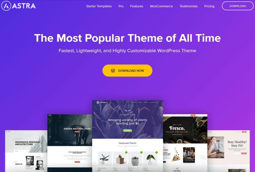 Installing the Astra Theme and Plugins
